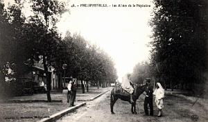 Philippeville - Pepiniere - Allees